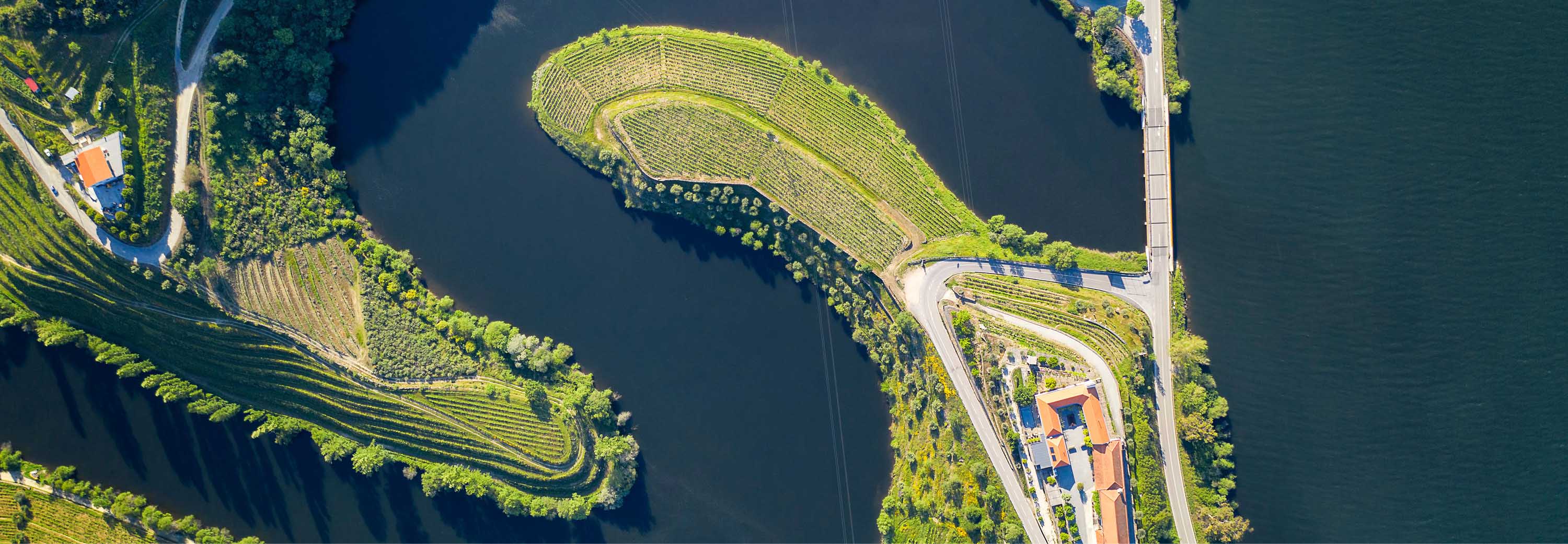 Quinta do Tedo Vineyard, Portugal