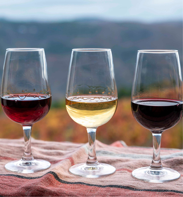 The history of Port wine Emerald Cruises