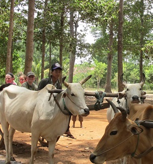 People riding animals in Phnom Penh, Cambodia