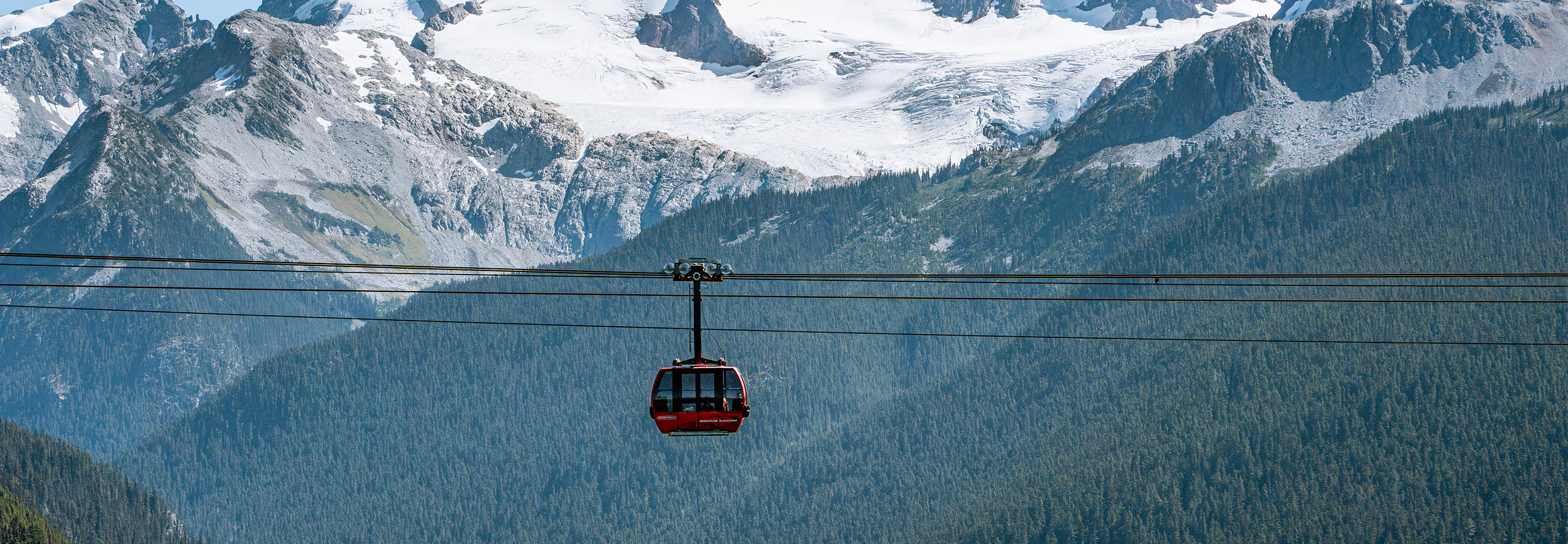 Above the treetops on the Peak 2 Peak Gondola, Whistler (Photo by Matthew Sylvestre Photography)