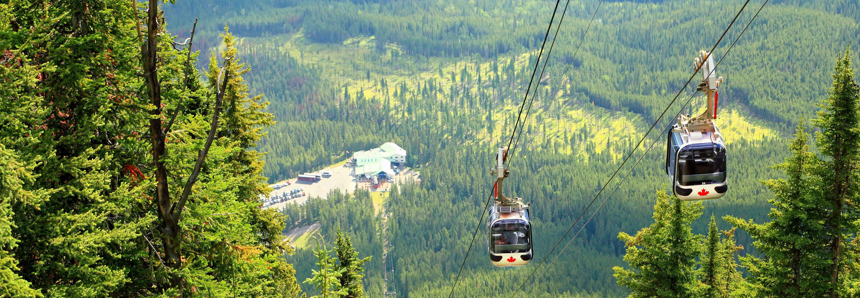Spectacular views from the Banff Gondola, Banff National Park