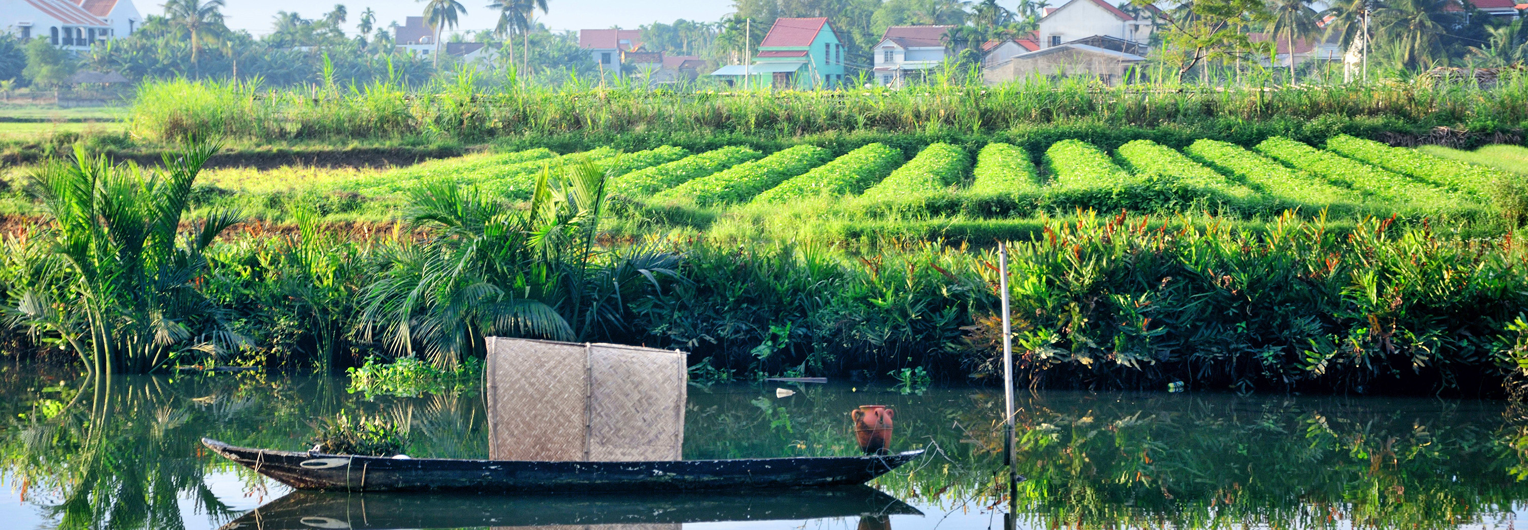 Farmlands, Vietnam