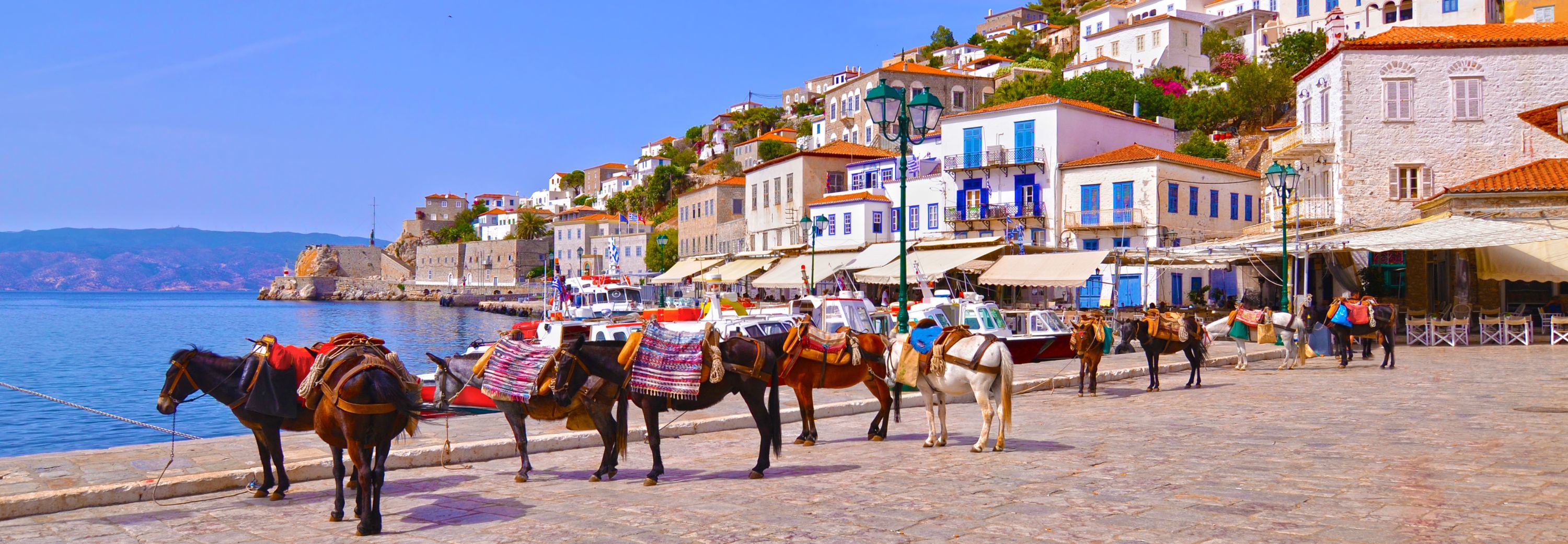 Donkey’s in the sunshine on Hydra’s waterfront