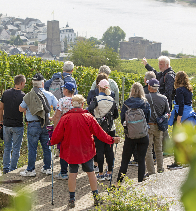 EmeraldACTIVE vineyard hike to Niederwald Monument