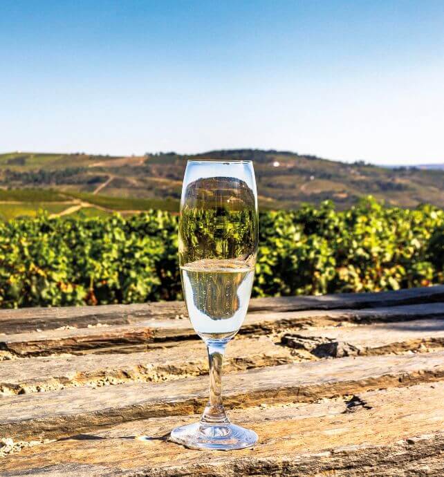 Glass of wine with vineyard view