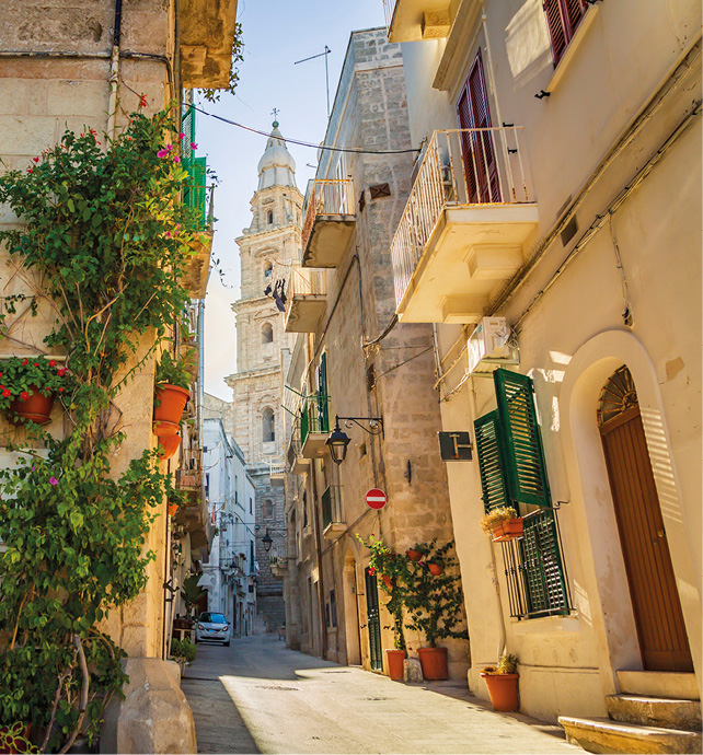 Pretty pink, orange and green flowers on the street corner and cathedral tower in Monopoli, Italy